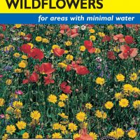 Wildflowers Dry Land Mix