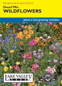 Wildflowers Dwarf Mix