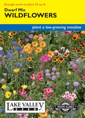Wildflowers Dwarf Mix