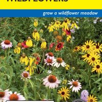 Wildflowers Perennial Mix