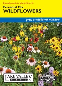 Wildflowers Perennial Mix