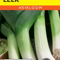 Leek American Flag