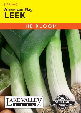Leek American Flag
