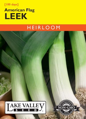 Leek American Flag