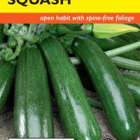 Squash (Summer) Garden Spineless