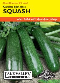 Squash (Summer) Garden Spineless