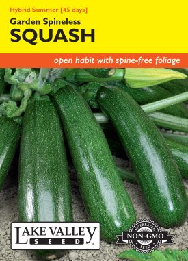 Squash (Summer) Garden Spineless