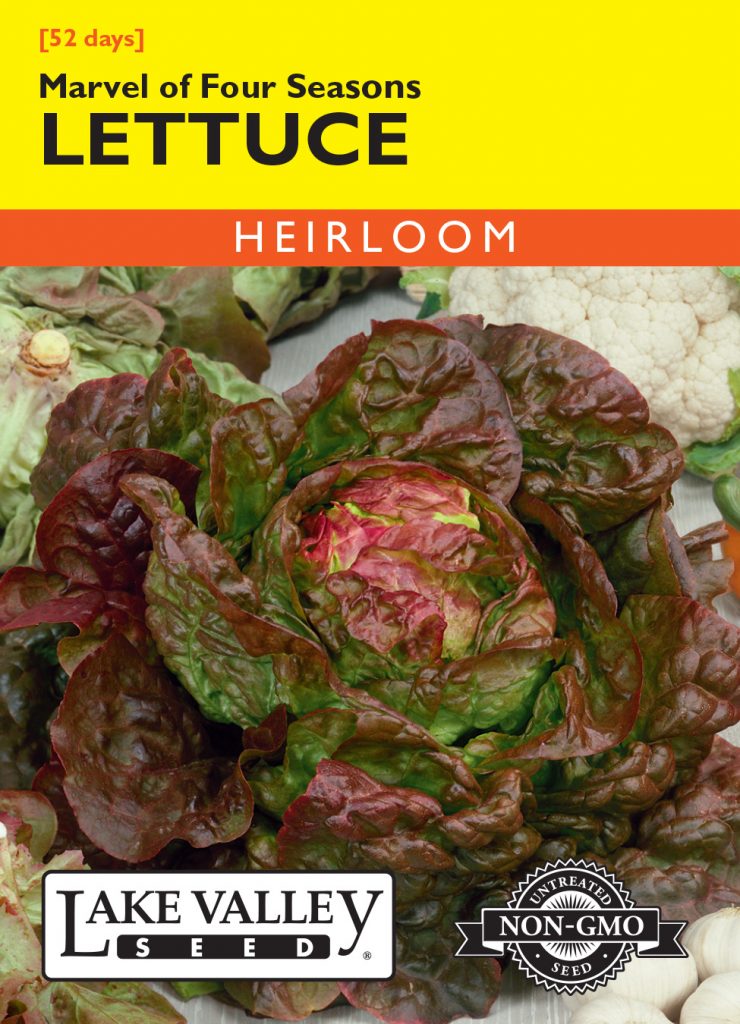 Lettuce Marvel of Four Seasons Item 173 Lake Valley Seed