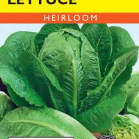 Lettuce Romaine Parris Island