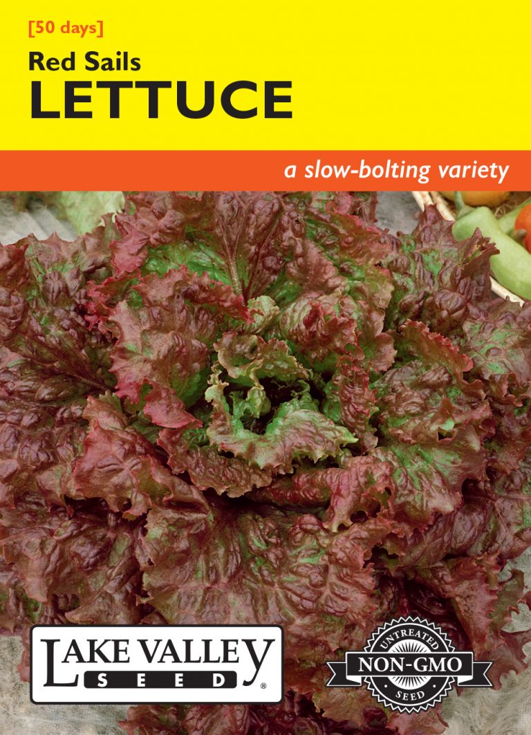 Lettuce Red Sails Item 175 Lake Valley Seed