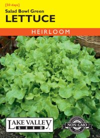 Lettuce Salad Bowl Green