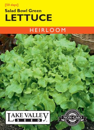 Lettuce Salad Bowl Green