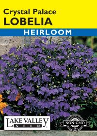 Lobelia Crystal Palace