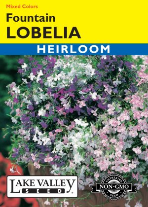 Lobelia Fountain Mixed Colors