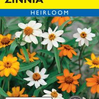 Zinnia Classic Mixed Colors