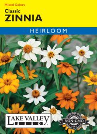 Zinnia Classic Mixed Colors