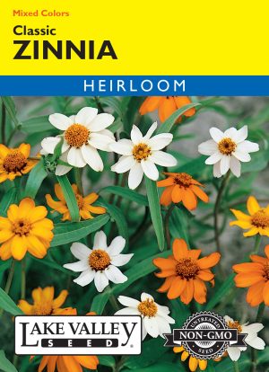 Zinnia Classic Mixed Colors