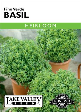 Basil Fino Verde - Item #18