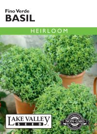 Basil Fino Verde