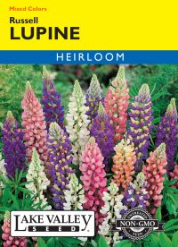 Lupine Russell Mixed Colors