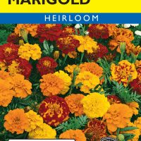 Marigold Brocade Mixed Colors