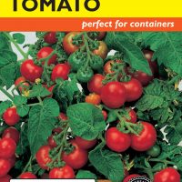 Tomato (Bush) Tumbler Hybrid - Item #1833