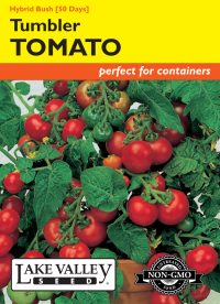 Tomato (Bush) Tumbler Hybrid - Item #1833