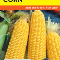 Corn Sweet Golden Jubilee
