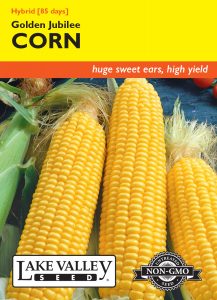 Corn Sweet Golden Jubilee Hybrid – Item #1838