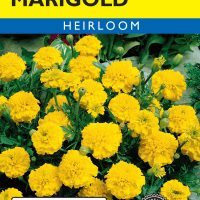 Marigold Lemon Drop