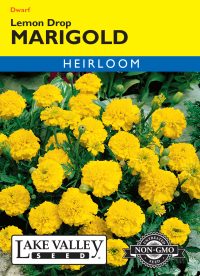 Marigold Lemon Drop