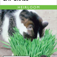 Cat Grass - Item #1854
