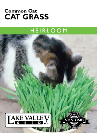 Cat Grass - Item #1854