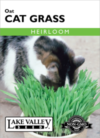 Cat Grass Oat - Item #1854
