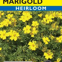Marigold Lemon Gem