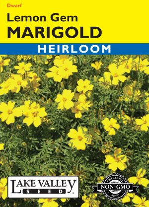 Marigold Lemon Gem