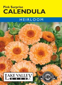 Calendula Pink Surprise