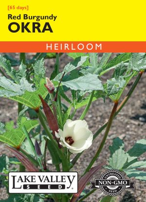 Okra Red Burgundy