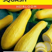 Squash (Summer) Early Prolific Straightneck