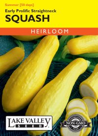 Squash (Summer) Early Prolific Straightneck