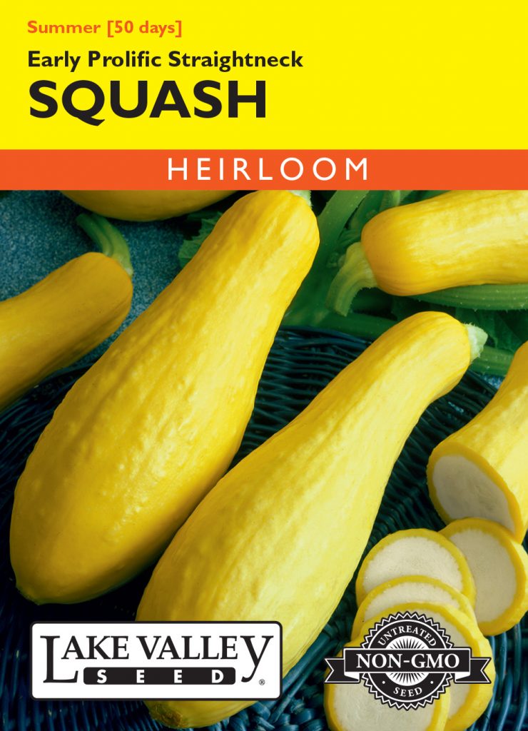 Squash (Summer) Early Prolific Straightneck Item 1899 Lake Valley Seed