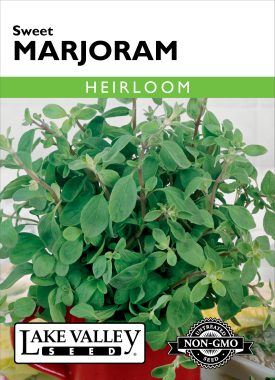 Marjoram Sweet - Item #190