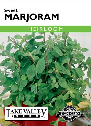 Marjoram Sweet - Item #190