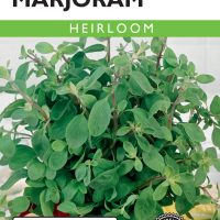 Marjoram Sweet - Item #190