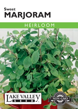 Marjoram Sweet - Item #190
