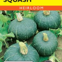 Squash (Winter) Kabocha