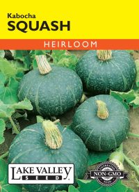 Squash (Winter) Kabocha