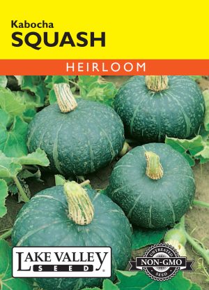 Squash (Winter) Kabocha