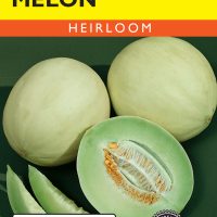 Melon Honeydew - Item #192