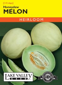 Melon Honeydew - Item #192